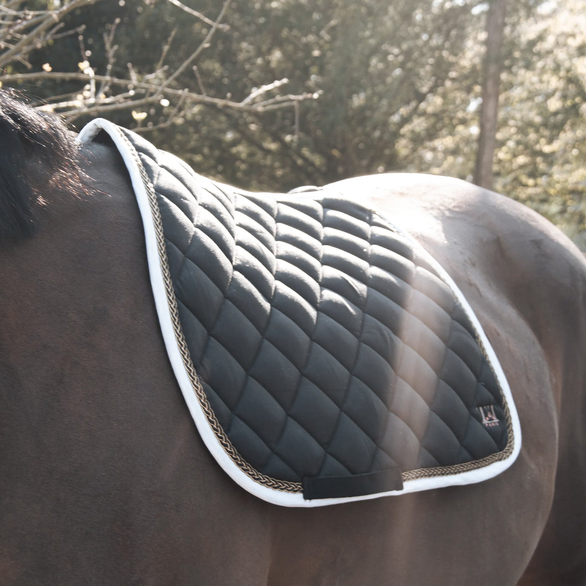 TdeT - Fontainebleau CSO saddle pad black/white