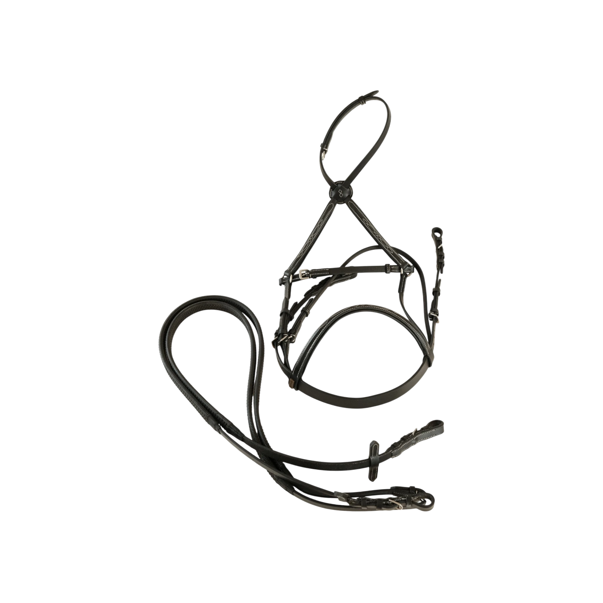 Tdet-Bridon classique Picabia muserolle croisée