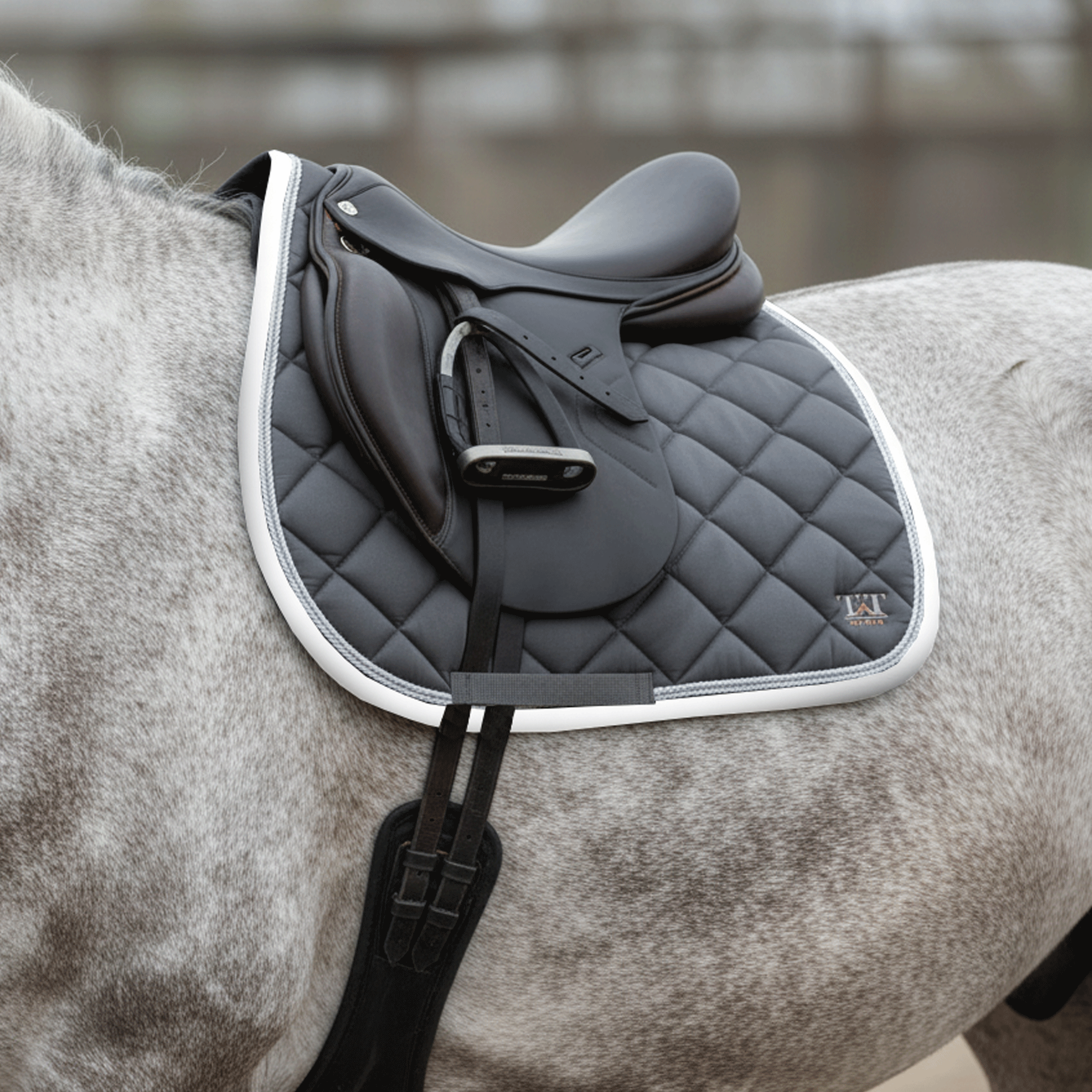TdeT - Fontainebleau CSO saddle pad grey/white