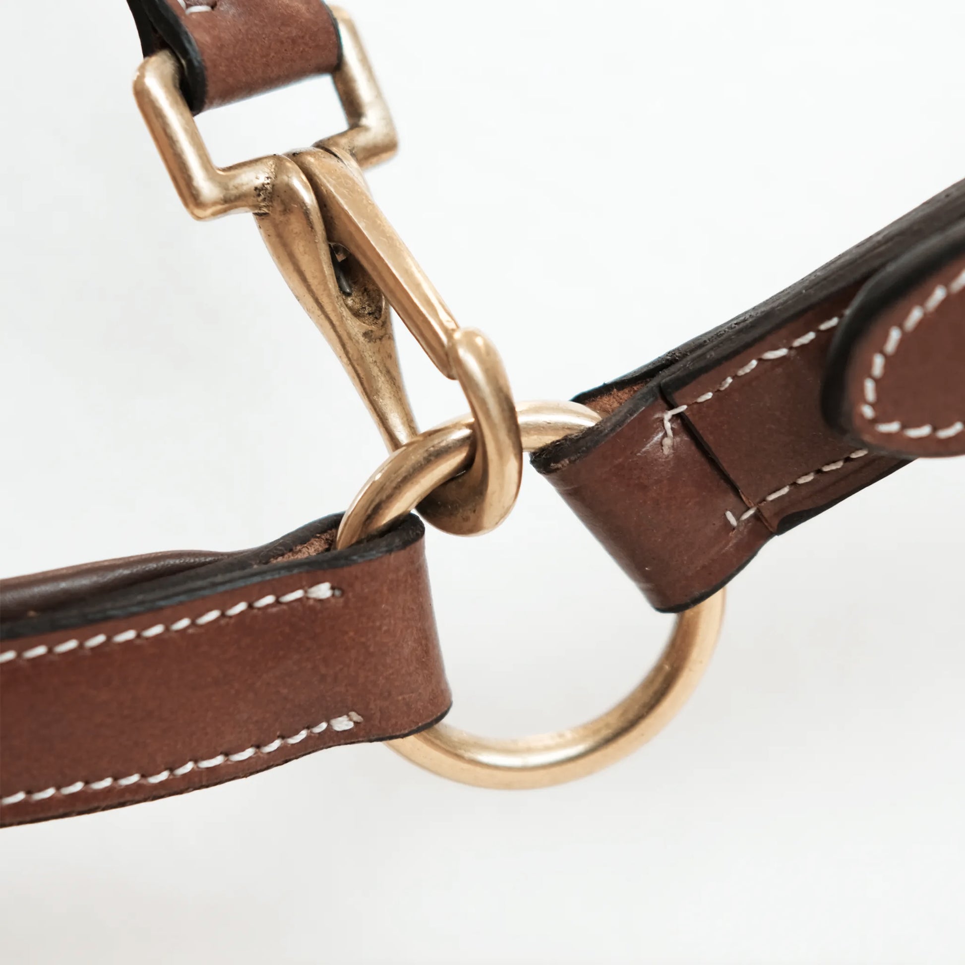 TdeT - Licol cuir classique Tabac