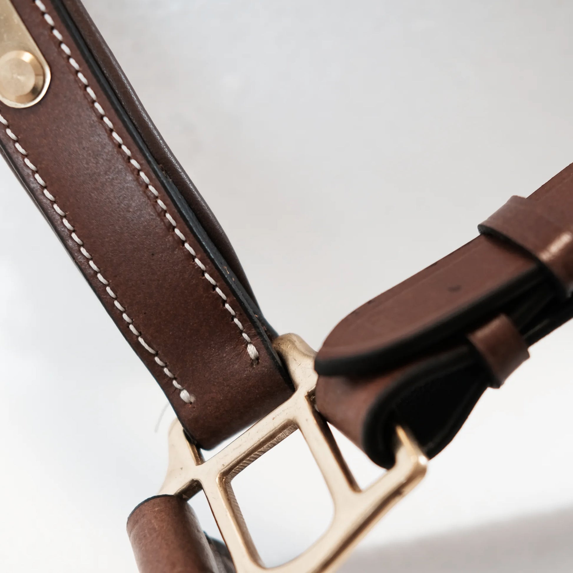 TdeT - Licol cuir classique Tabac
