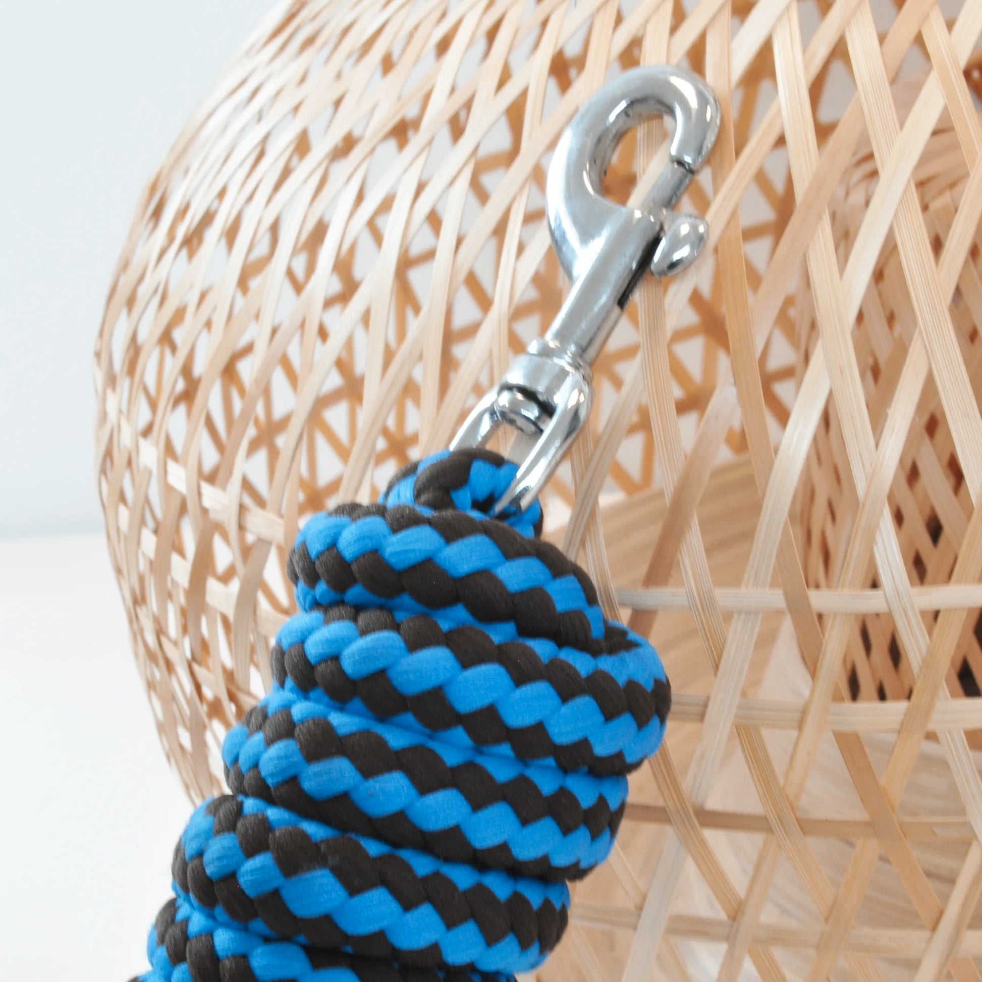 TdeT - Viscose round lead rope brown/blue