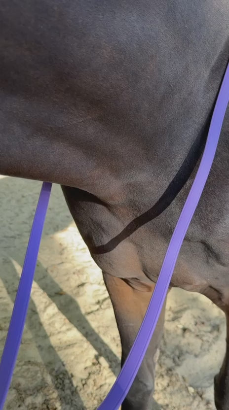 TdeT-Renes Biotack lisses Violet