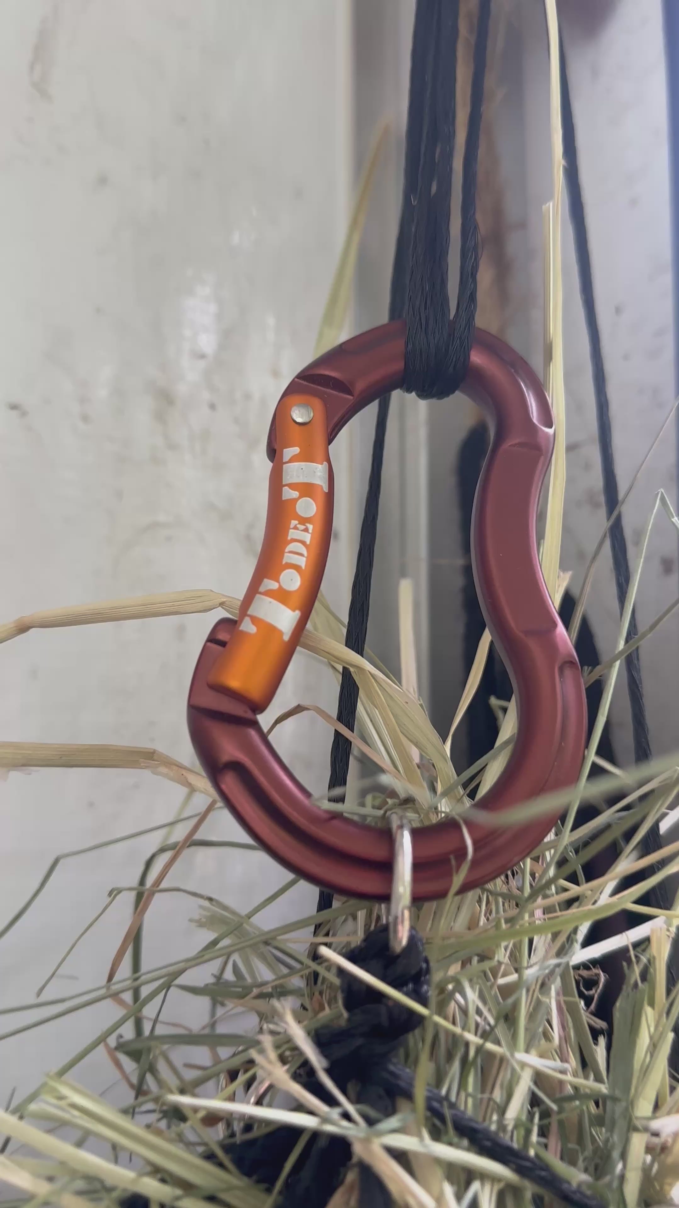 Charger la vidéo : Mousqueton d'escalade