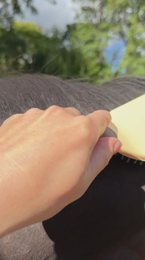 Load video: TdeT - Brosse à crins Bicolore marron beige