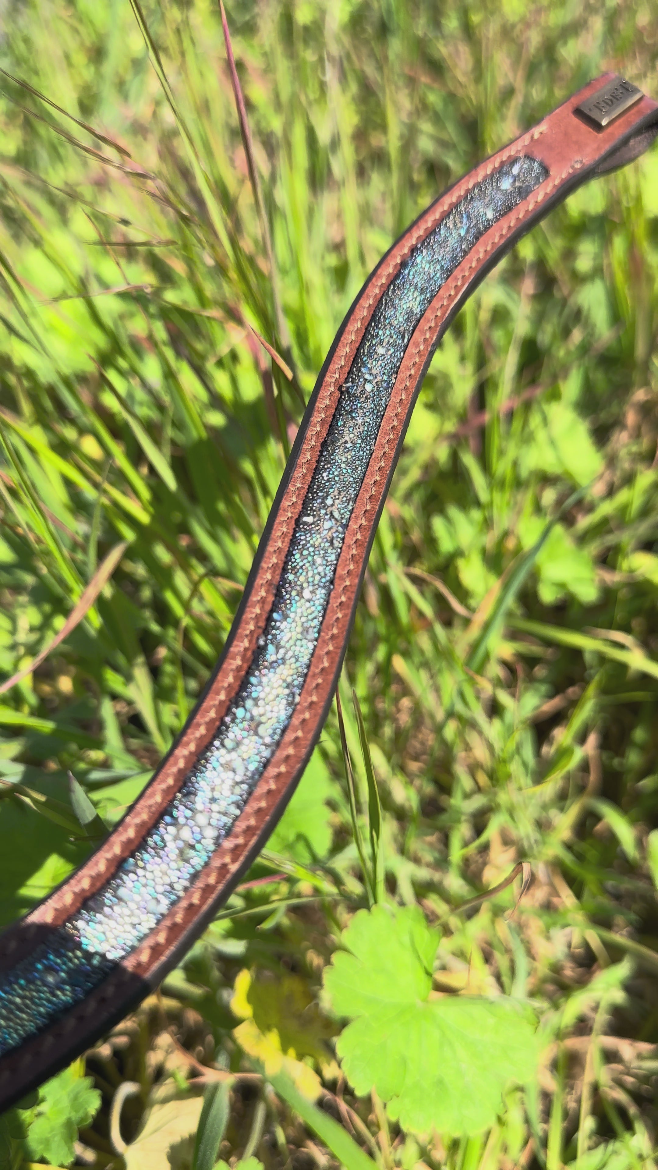 Load video: Galaxie browband