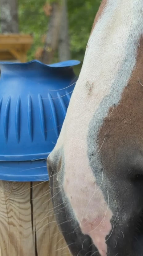 Load video: TdeT - Cloches caoutchouc fermées bleu