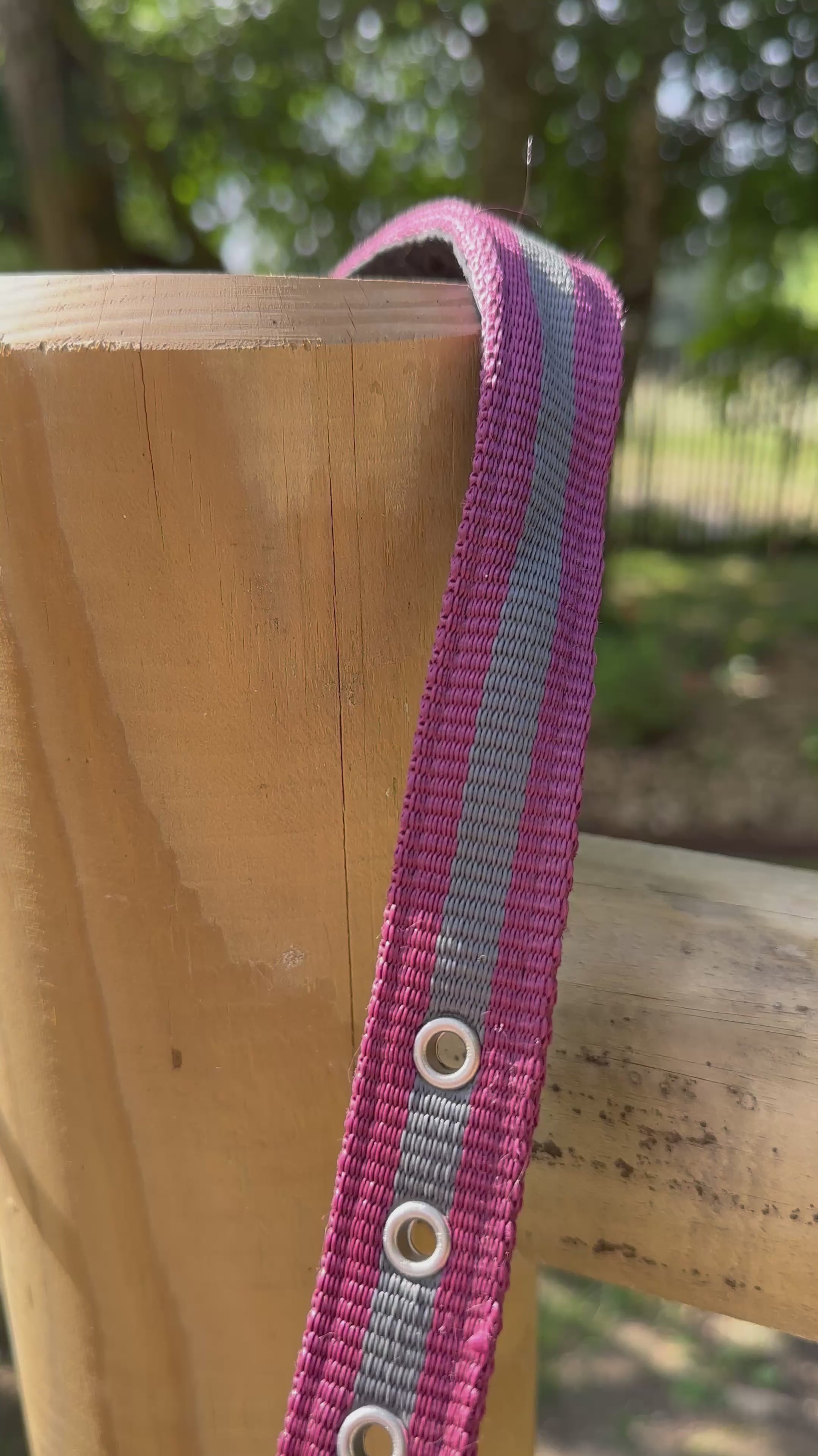 Load video: Suede-lined synthetic halter with American-style lead rope