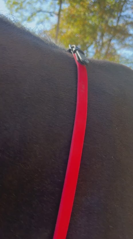 Charger la vidéo : TdeT - Rênes cuir biotack rouge