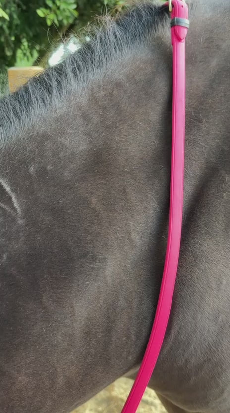 TdeT-Renes Biotack lisses Fuchsia