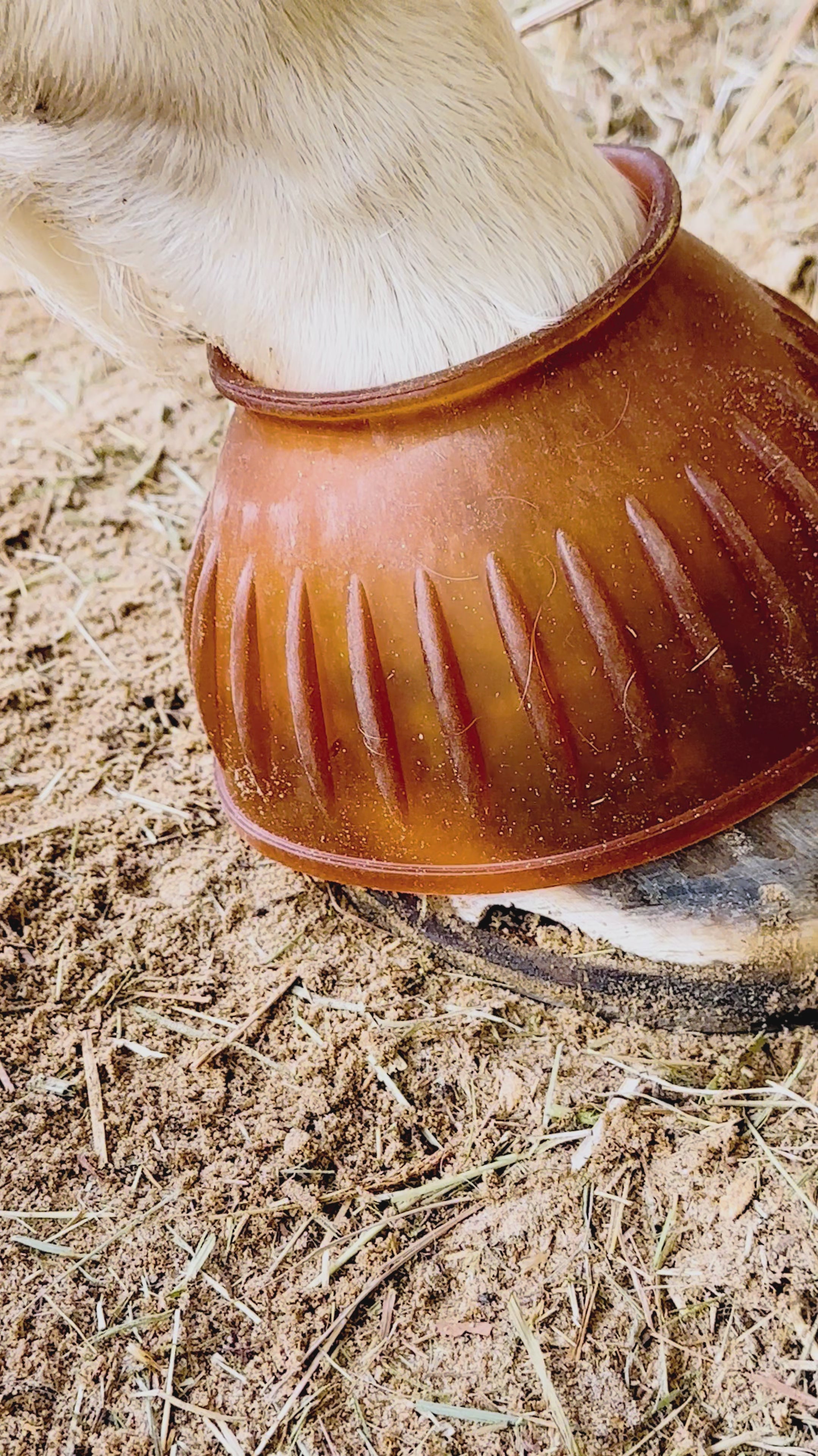 Charger la vidéo : Cloches caoutchouc fermées naturelles