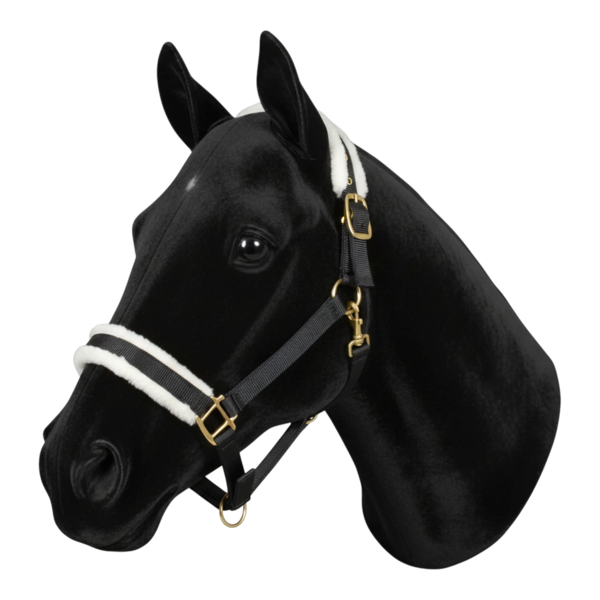 TdeT black nylon horse halter with white synthetic sheepskin lining on noseband and crown. Adjustable straps and silver hardware.