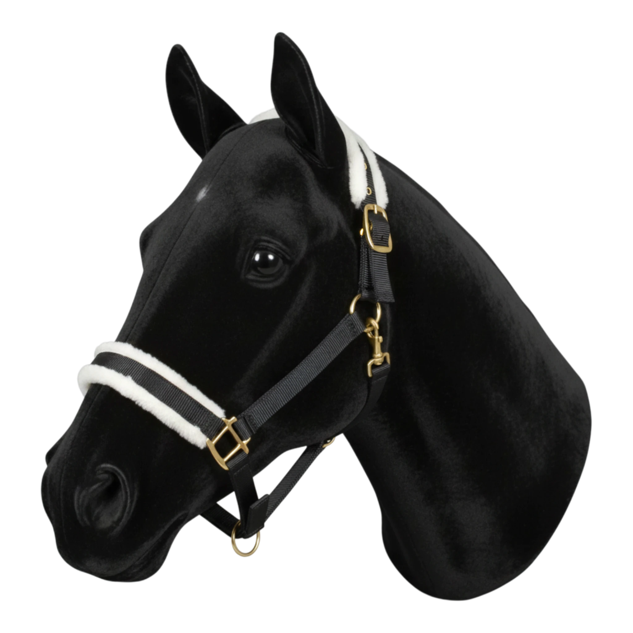 TdeT black nylon horse halter with white synthetic sheepskin lining on noseband and crown. Adjustable straps and silver hardware.